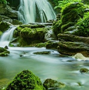 Meet your Posher, Tim